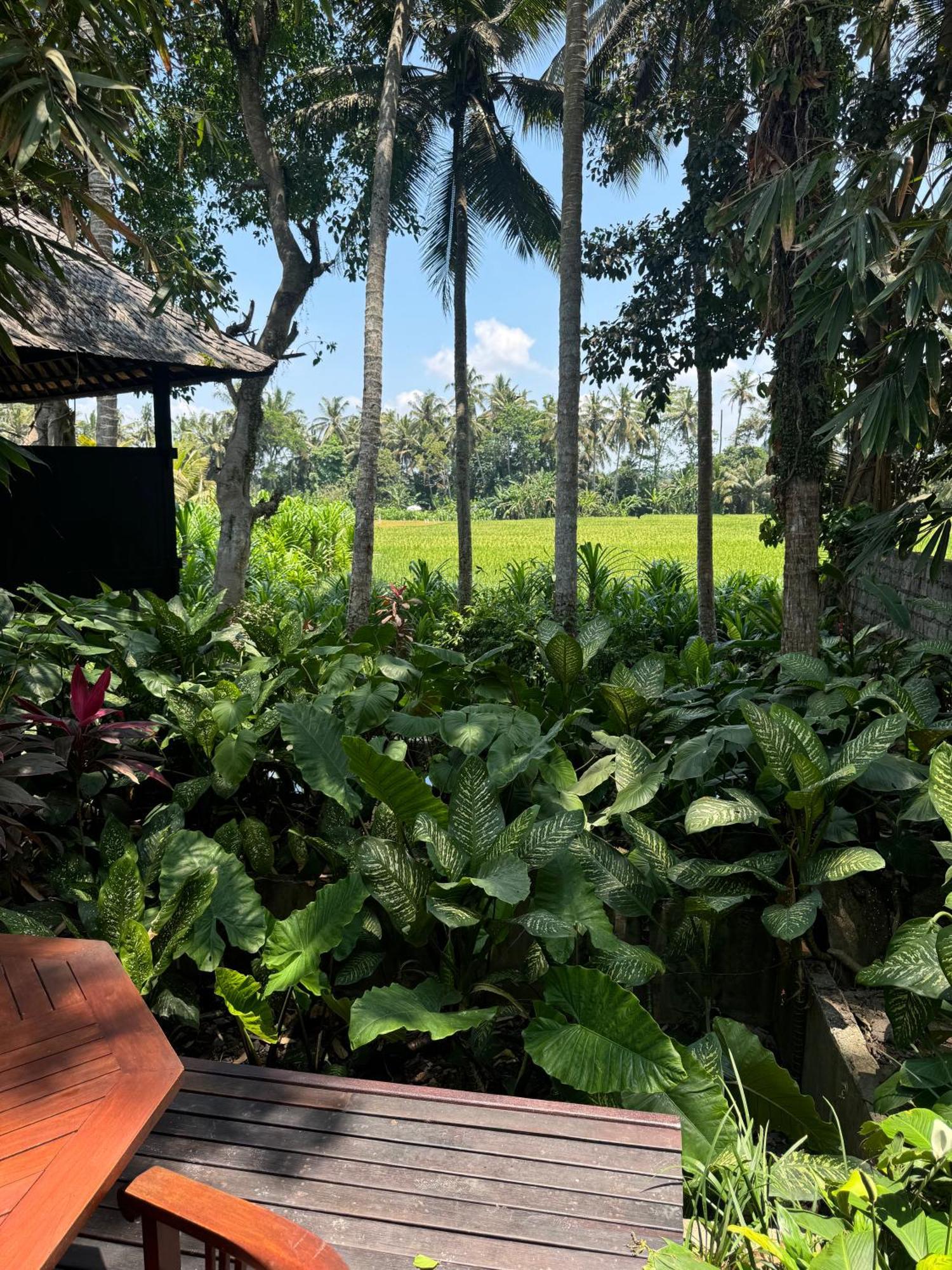 Villa Pantulan Bali Pagetan Экстерьер фото
